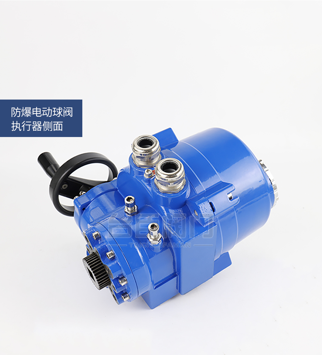 BQ941F防爆電動(dòng)球閥實(shí)拍圖