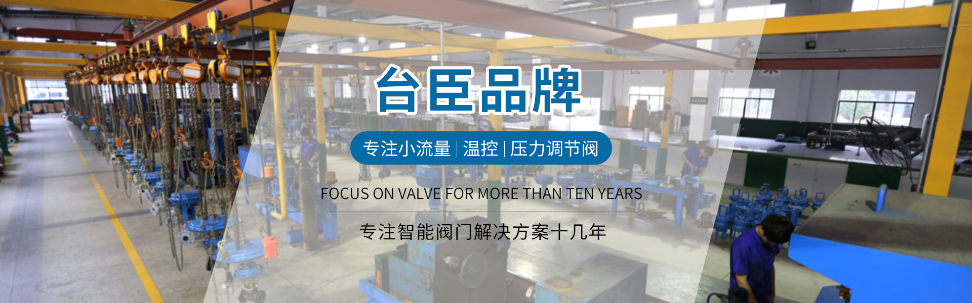 臺(tái)臣閥門-免費(fèi)拿樣、提供方案、3年質(zhì)保